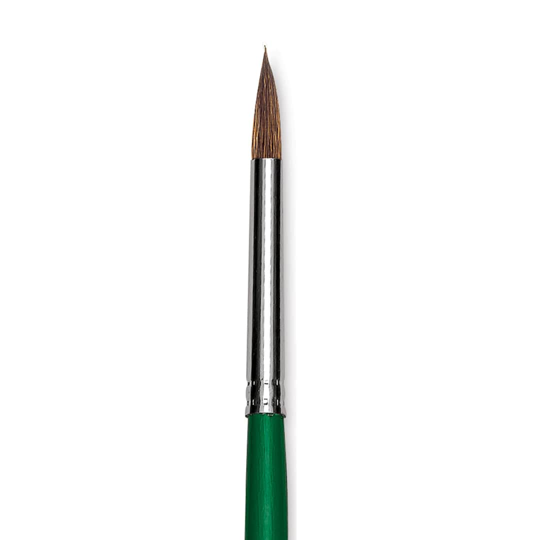 Open in modal - Blick Economy Sable Brush - Round, Long Handle, Size 6 close up