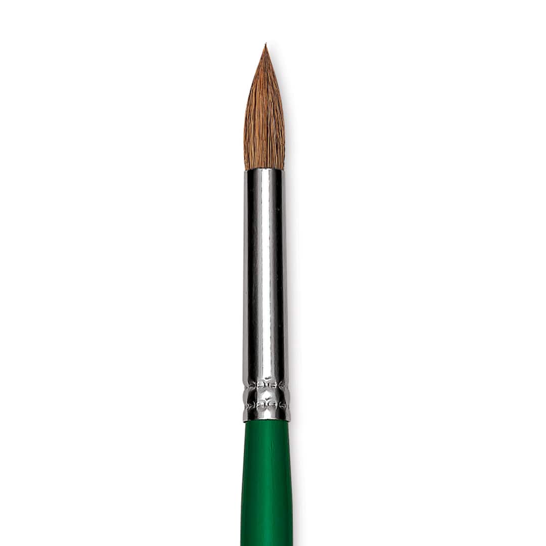 Open in modal - Blick Economy Sable Brush - Round, Long Handle, Size 10 close up