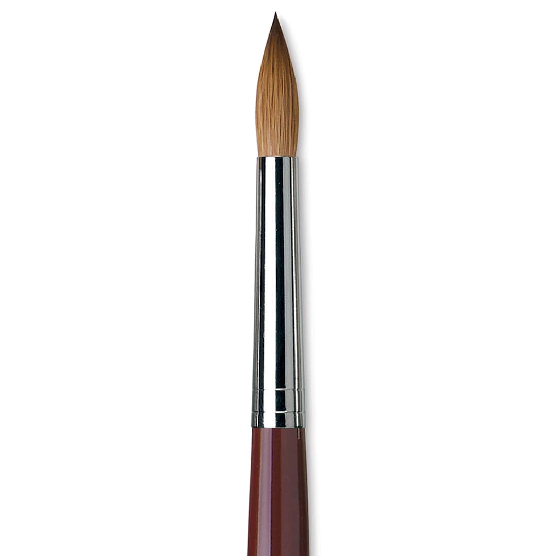 Open in modal - Da Vinci Kolinsky Red Oil Sable Brush - Round, Long Handle, Size 18 close up
