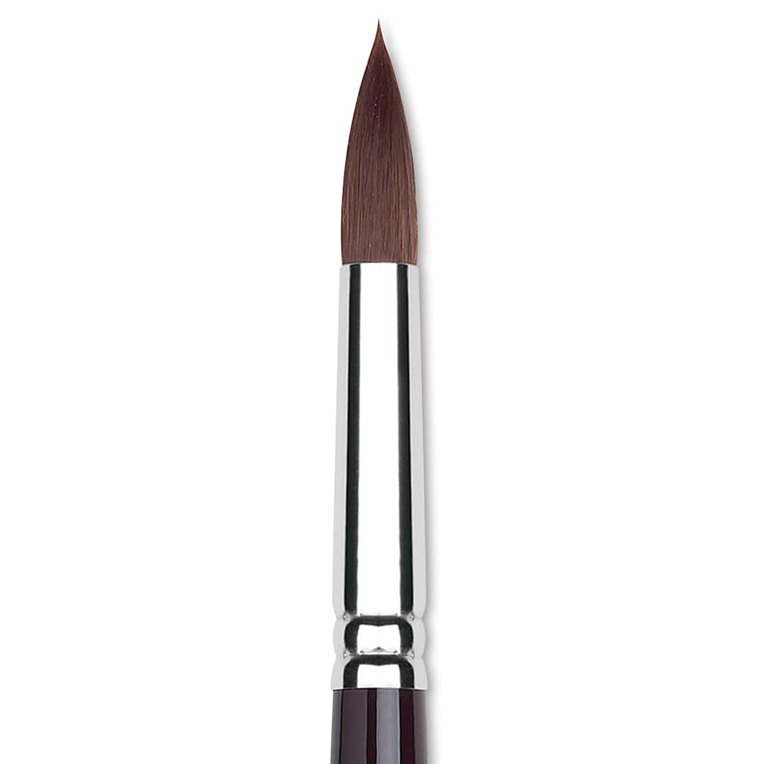 Open in modal - Winsor & Newton Galeria Brush - Round, Short Handle , Size 12 close up