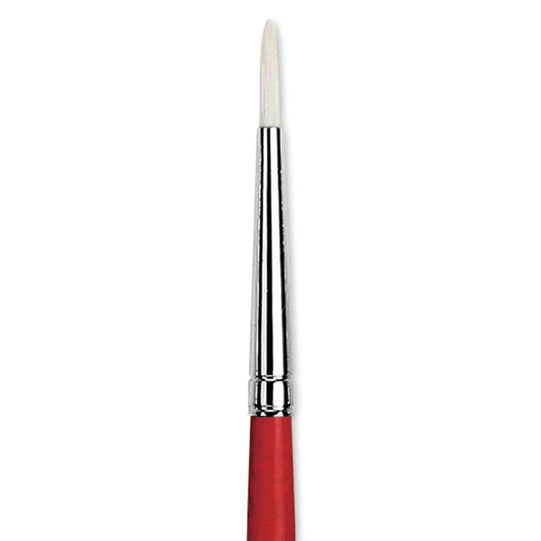 Open in modal - Da Vinci Maestro 2 Hog Bristle Brush - Round, Long Handle, Size 1 close up