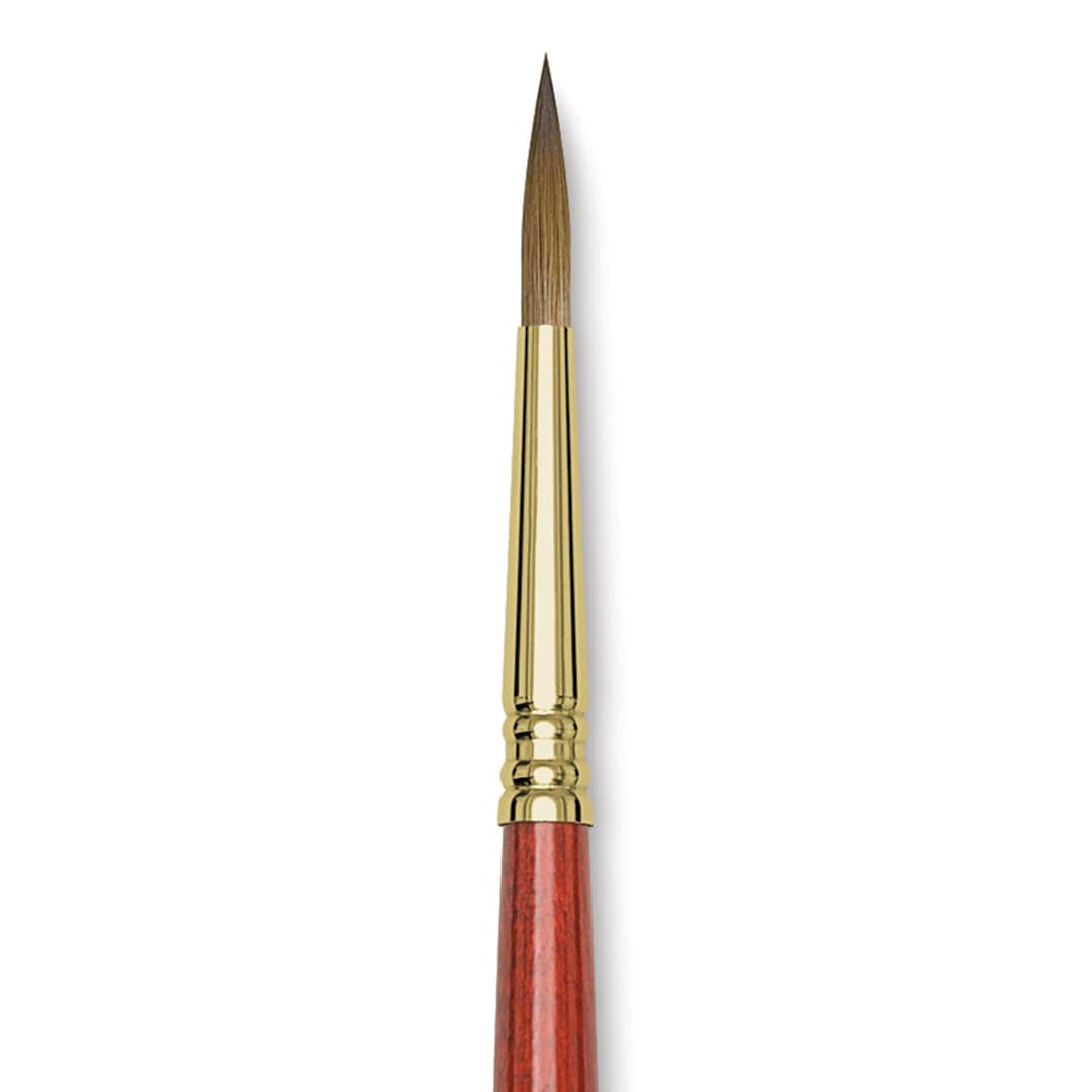 Open in modal - Blick Master Kolinsky Sable Brush - Pointed Round, Short Handle, Size 6 close up