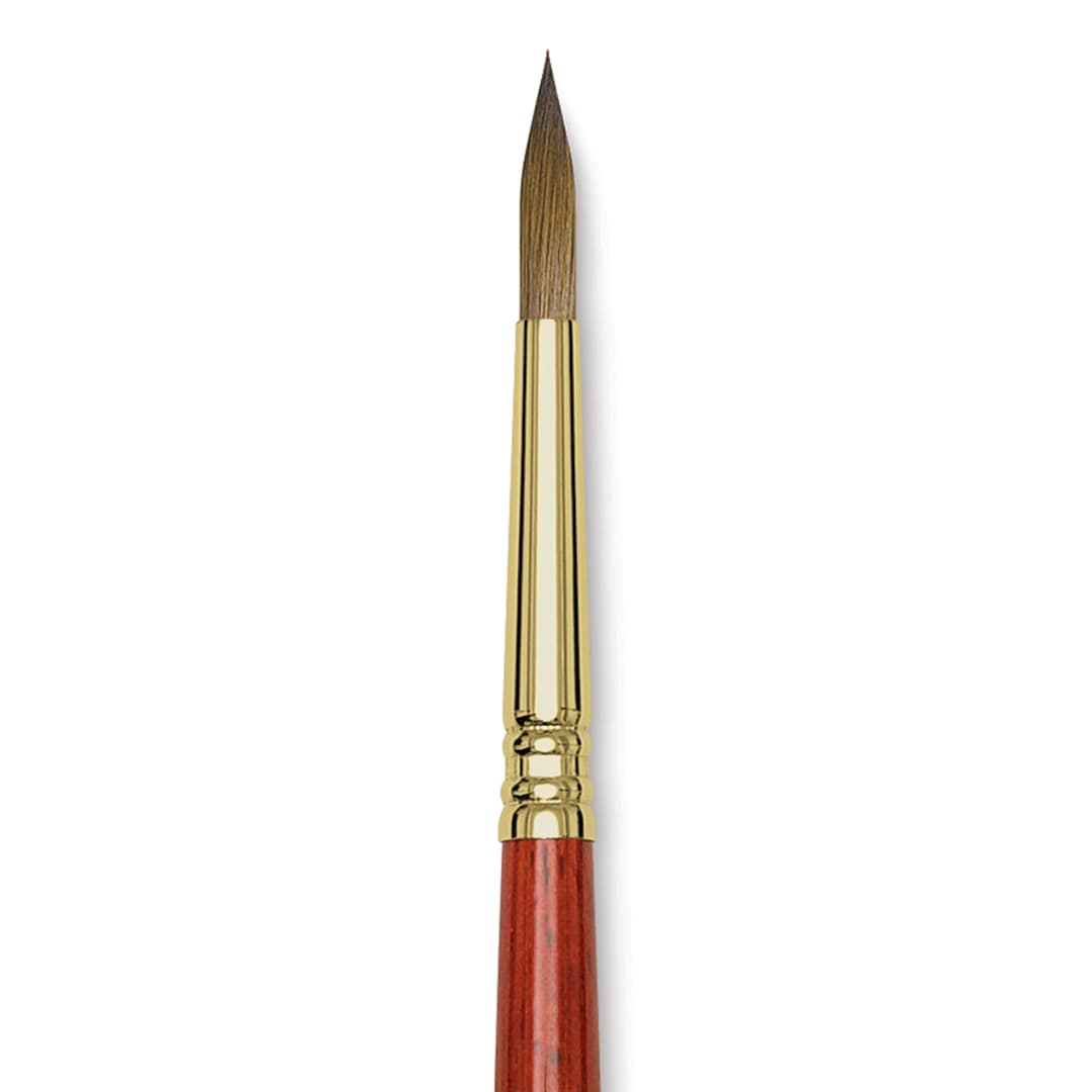 Open in modal - Blick Master Kolinsky Sable Brush - Pointed Round, Short Handle, Size 8 close up
