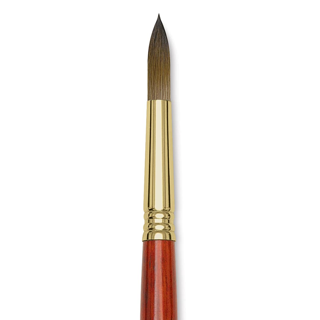 Open in modal - Blick Master Kolinsky Sable Brush - Pointed Round, Short Handle, Size 12 close up
