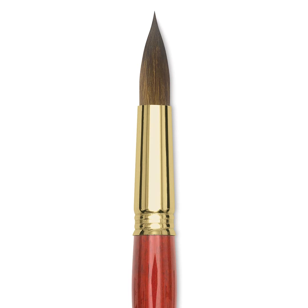 Open in modal - Blick Master Kolinsky Sable Brush - Pointed Round, Short Handle, Size 20 close up
