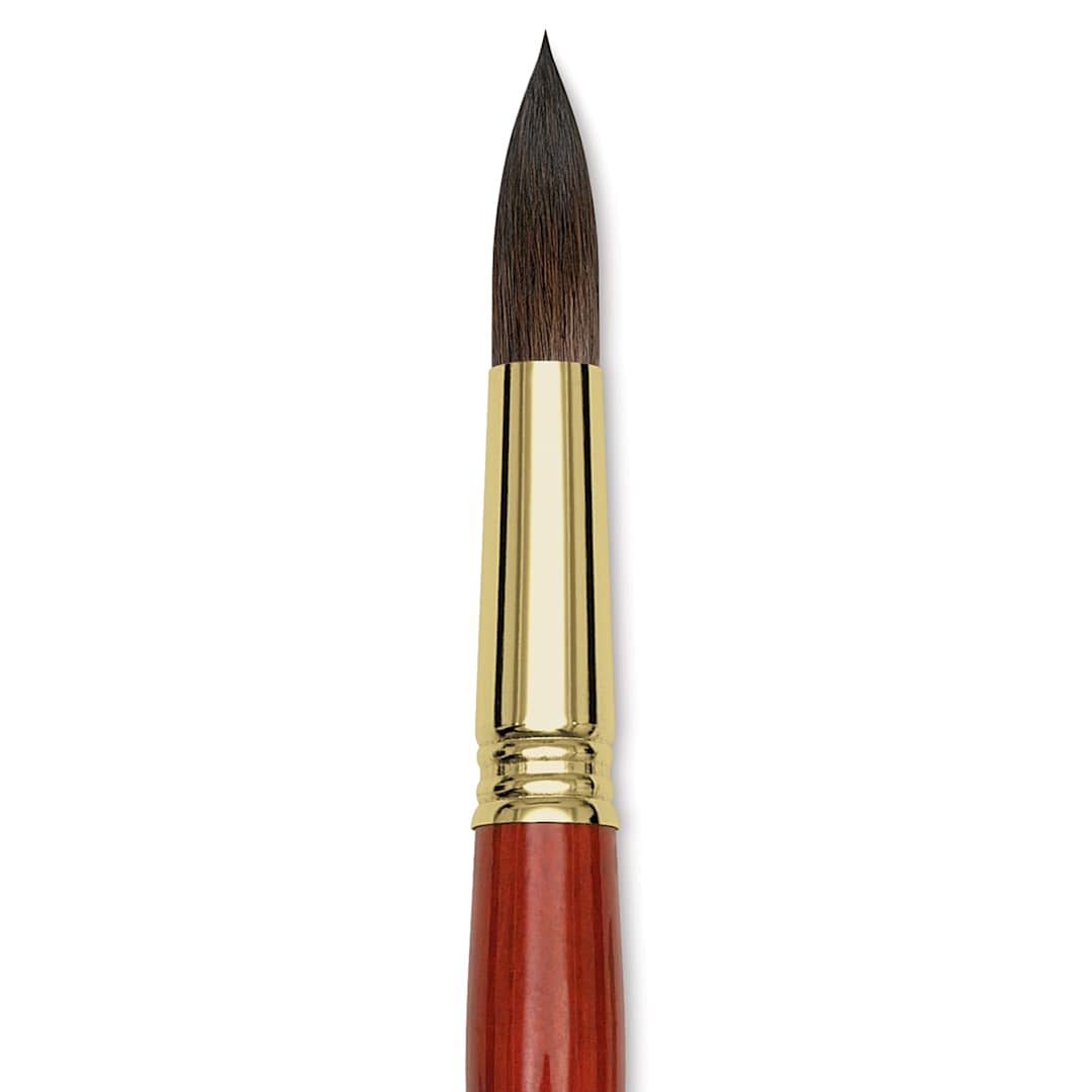 Open in modal - Blick Master Natural Brush - Round, Size 18, close-up