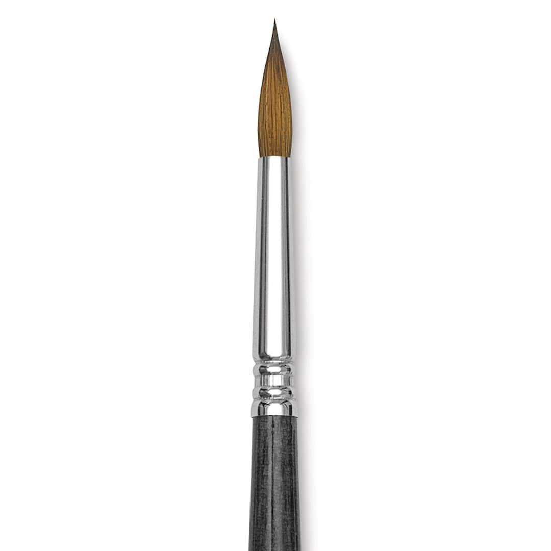 Open in modal - Blick Studio Sable Brush - Round, Short Handle, Size 8 close up