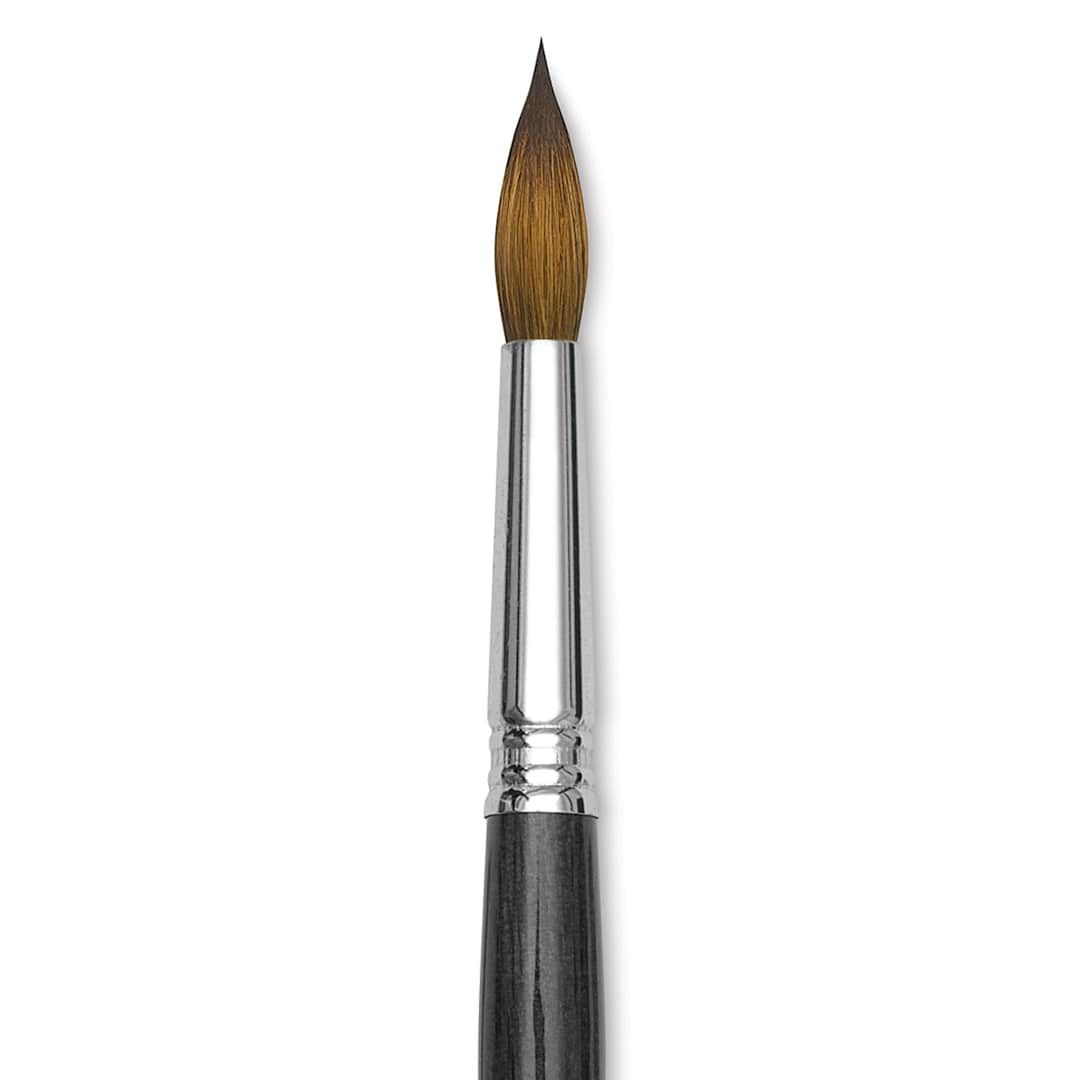 Open in modal - Blick Studio Sable Brush - Round, Short Handle, Size 14 close up