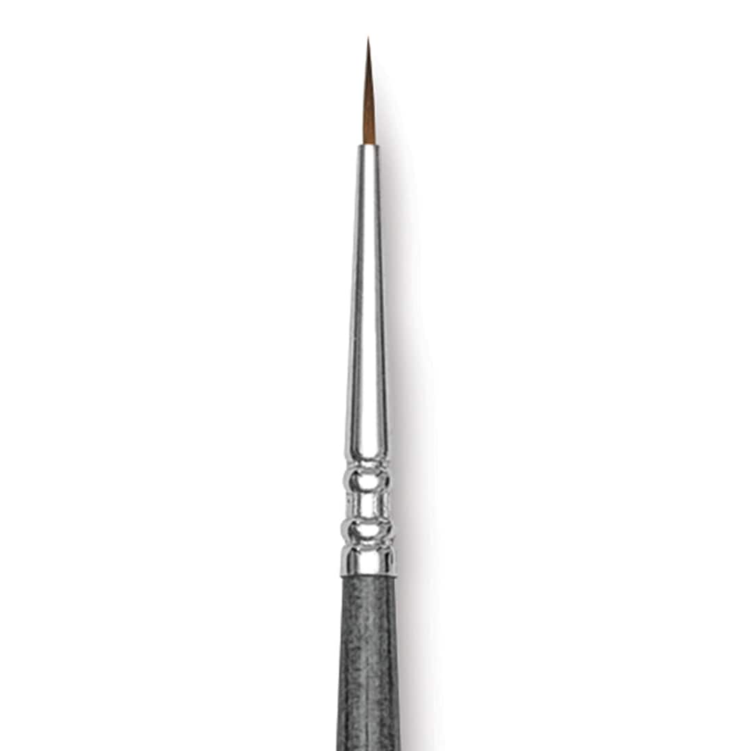 Open in modal - Blick Studio Sable Brush - Round, Short Handle, 2/0 close up