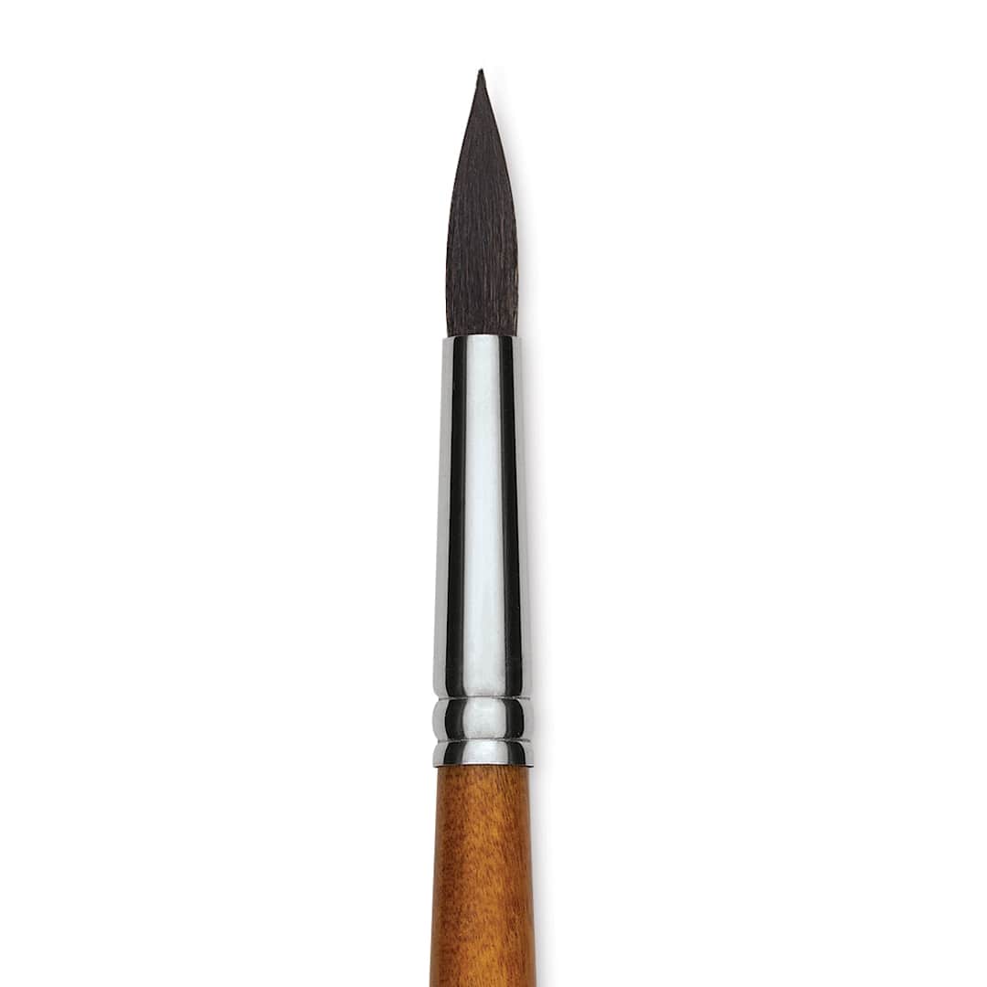 Open in modal - Blick Studio Natural Squirrel Brush - Round, Black Handle, Size 12 close up