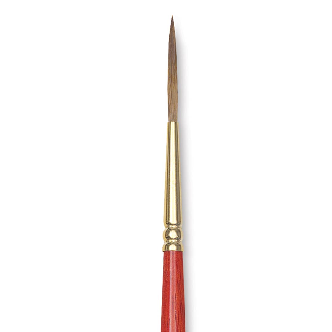 Open in modal - Winsor & Newton Sceptre Gold II Brush - Rigger, Short Handle, Size 3 close up