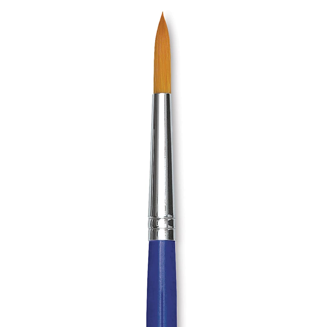 Open in modal - Blick Scholastic Short Handle Golden Taklon Brush - Round, Size 8 close up