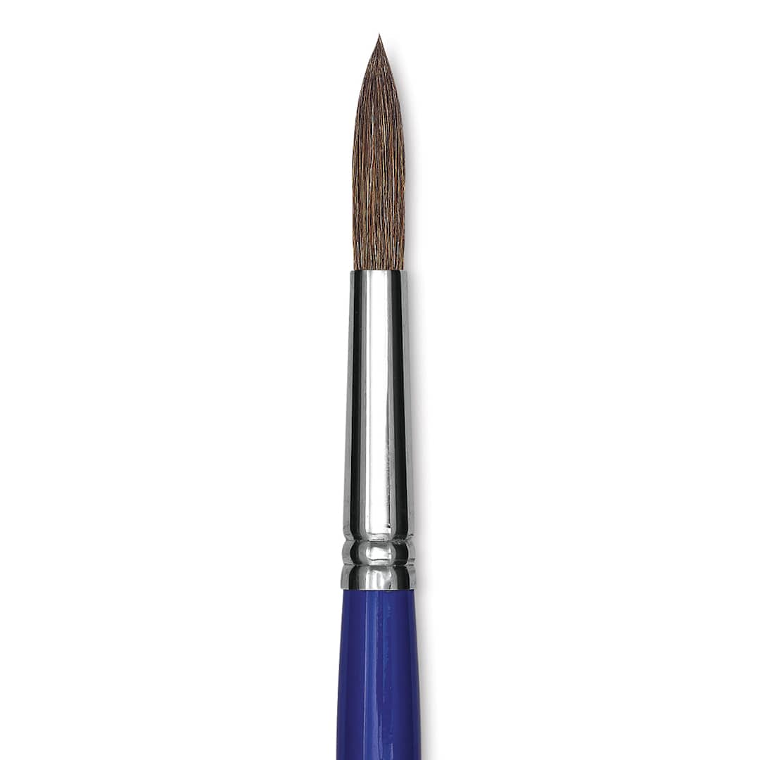 Open in modal - Blick Scholastic Camel Hair Brush - Round, Short Handle, Size 14 close up