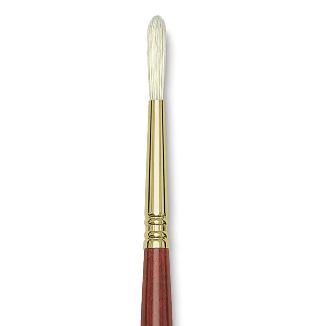 Open in modal - Blick Master Bristle Brush - Round, Long Handle, Size 6 close up