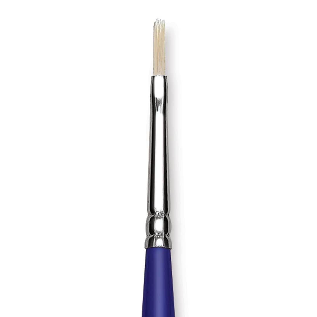 Open in modal - Blick Scholastic White Bristle Brush - Filbert, Size 1 close up