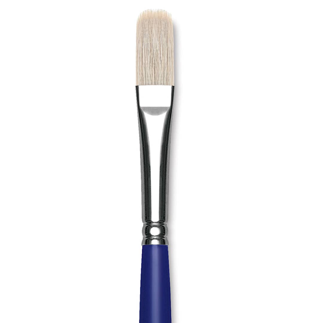 Open in modal - Blick Scholastic White Bristle Brush - Filbert, Size 12 close up