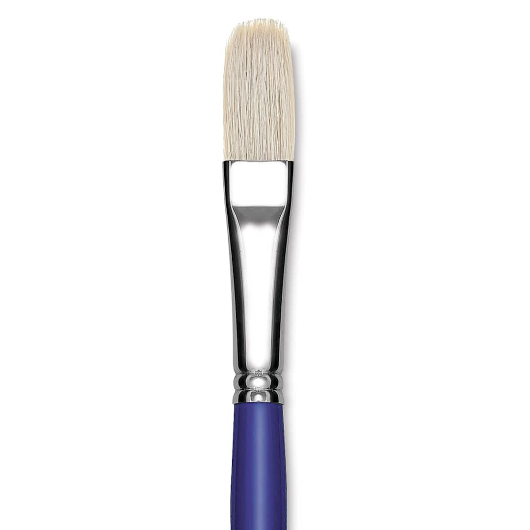 Open in modal - Blick Scholastic White Bristle Brush - Filbert, Size 16 close up