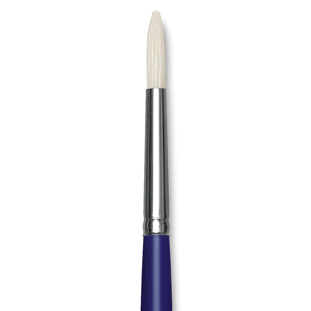 Open in modal - Blick Scholastic White Bristle Brush - Round, Size 10 close up