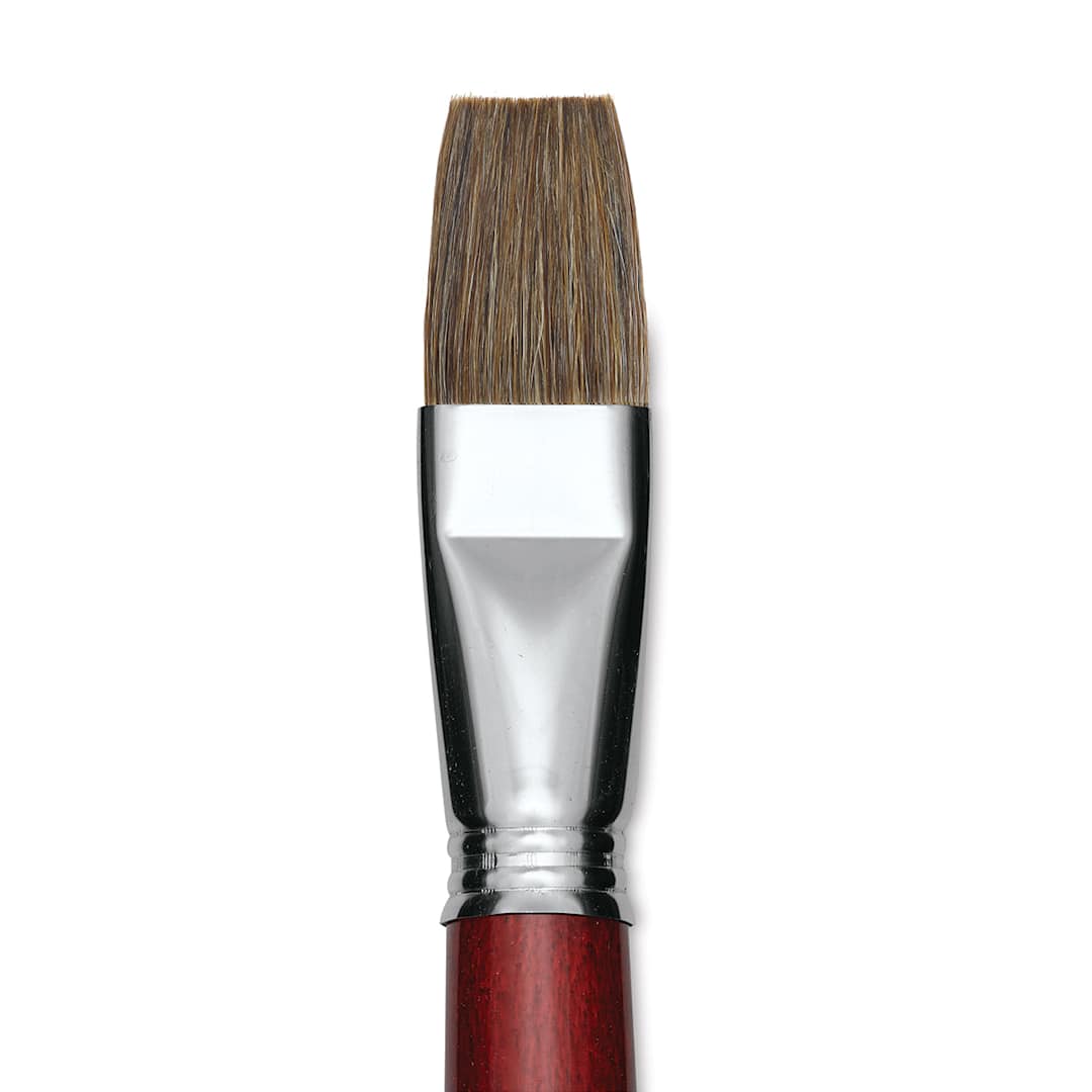 Open in modal - Escoda Bravo Light Ox Hair Brush - Bright, Long Handle, Size 24 close up