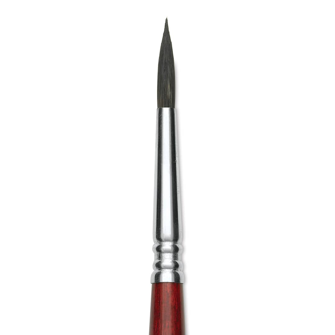 Open in modal - Escoda Aquario Squirrel Hair Brush - Round, Short Handle, Size 6, close-up