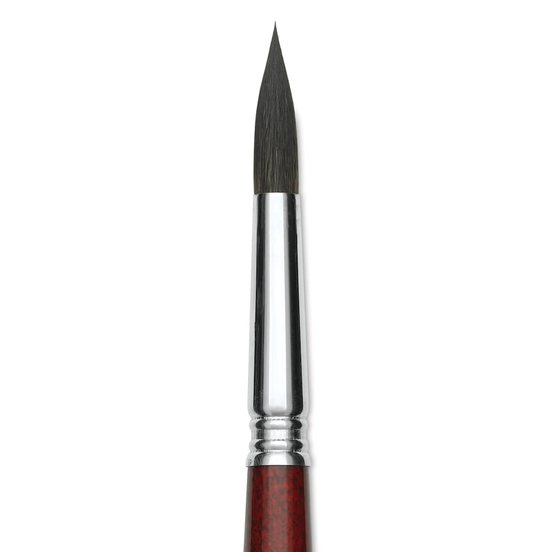 Open in modal - Escoda Aquario Squirrel Hair Brush - Round, Short Handle, Size 14, close-up