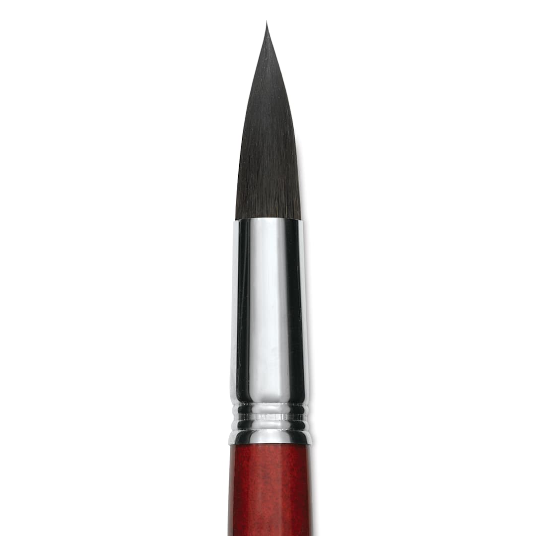 Open in modal - Escoda Aquario Squirrel Hair Brush - Round, Short Handle, Size 24, close-up