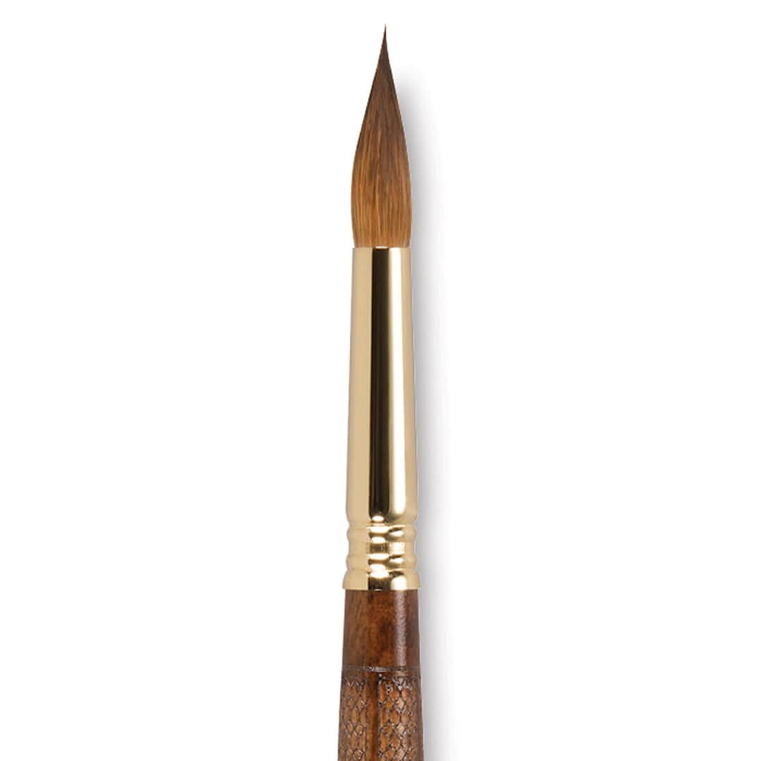 Open in modal - Escoda Reserva Kolinsky-Tajmyr Sable Brush - Closeup of Pointed Round, Short Handle, Size 10