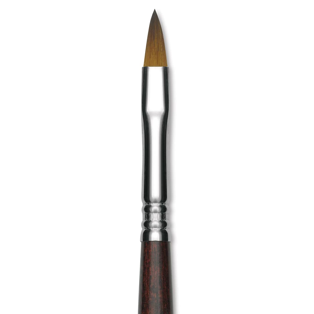 Open in modal - Escoda Prado Tame Synthetic Brush - Filbert, Short Handle, Size 8 (Close-up of brush)