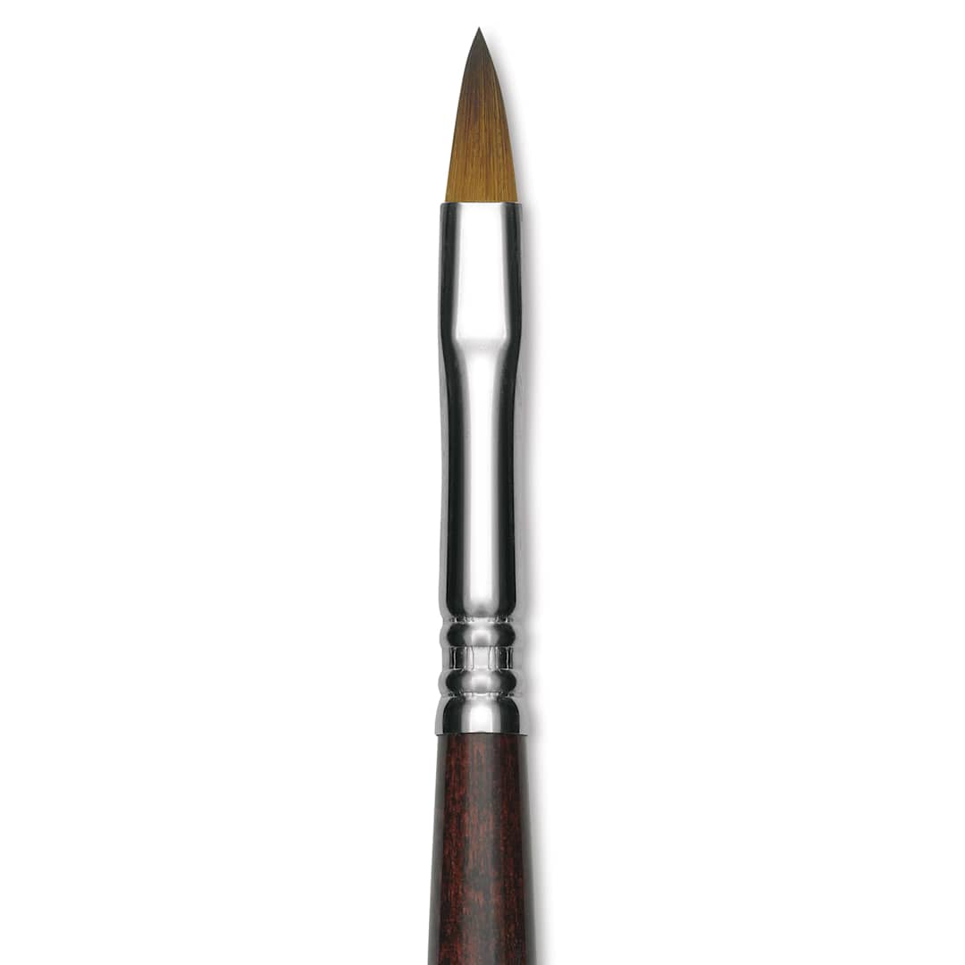 Open in modal - Escoda Prado Tame Synthetic Brush - Filbert, Short Handle, Size 10 (Close-up of brush)
