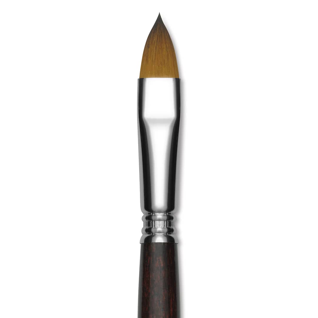 Open in modal - Escoda Prado Tame Synthetic Brush - Filbert, Short Handle, Size 14 (Close-up of brush)