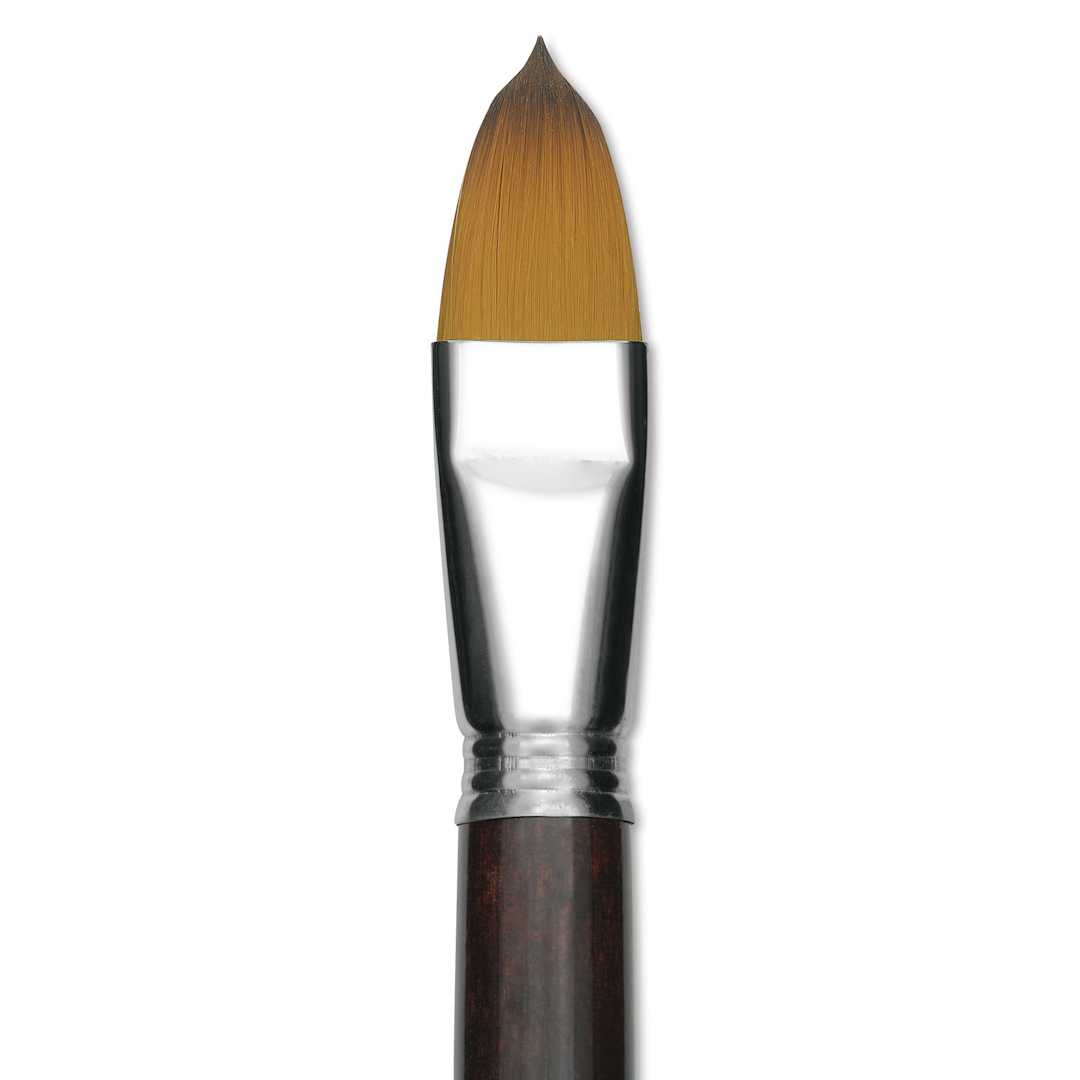 Open in modal - Escoda Prado Tame Synthetic Brush - Filbert, Short Handle, Size 24 (Close-up of brush)