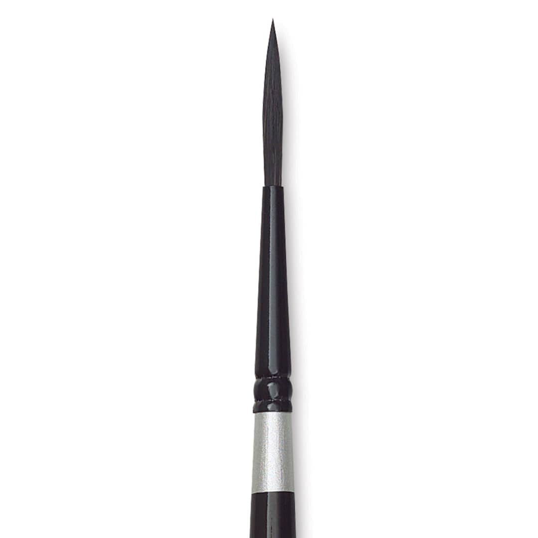 Open in modal - Silver Brush Black Velvet Brush - Script, Size 4 close up