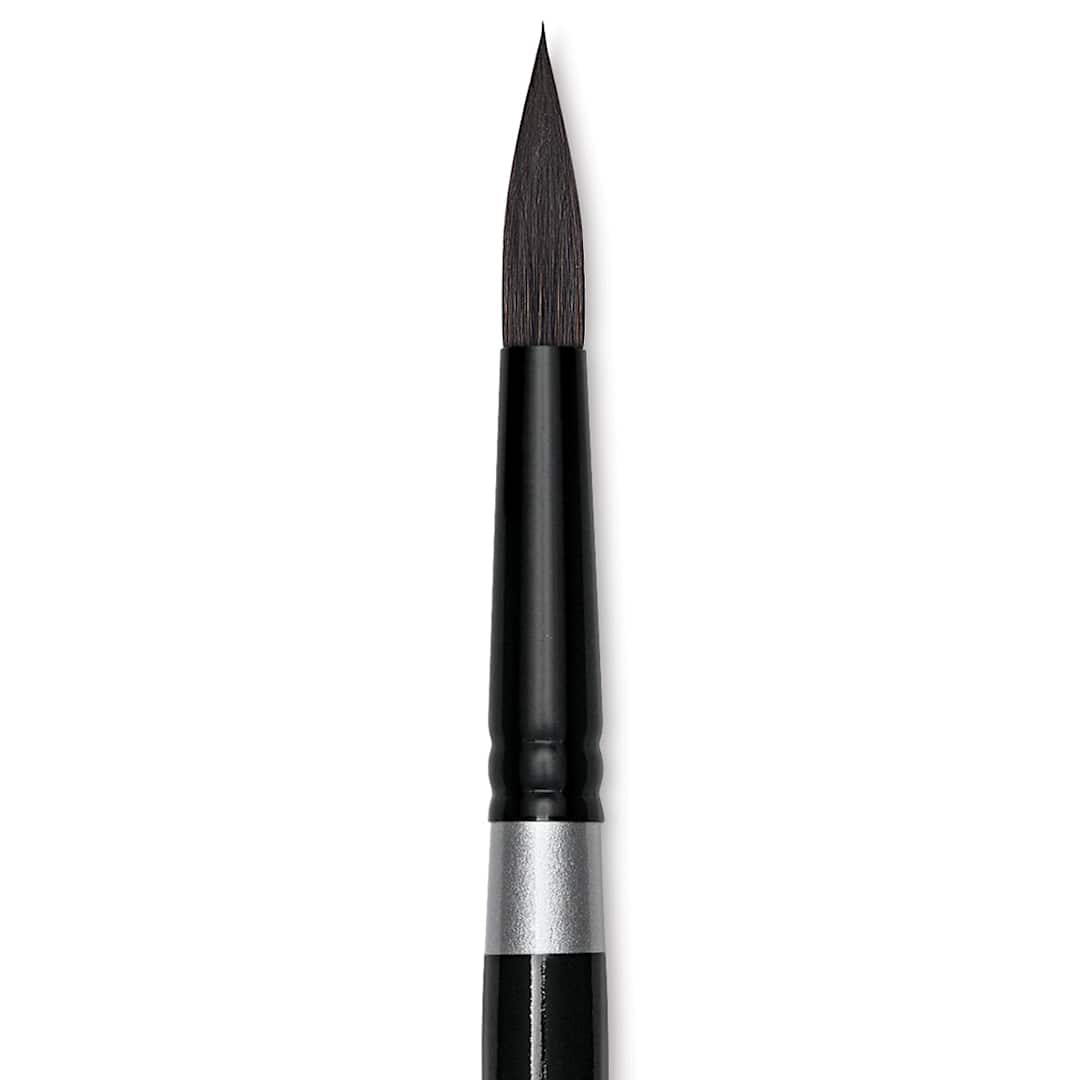 Open in modal - Silver Brush Black Velvet Brush - Round, Size 14 close up