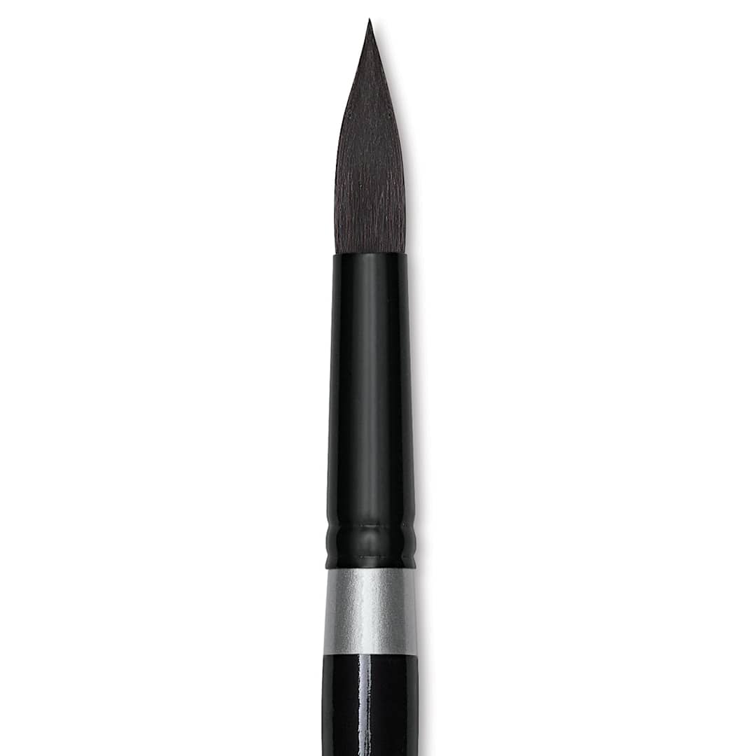 Open in modal - Silver Brush Black Velvet Brush - Round, Size 20 close up