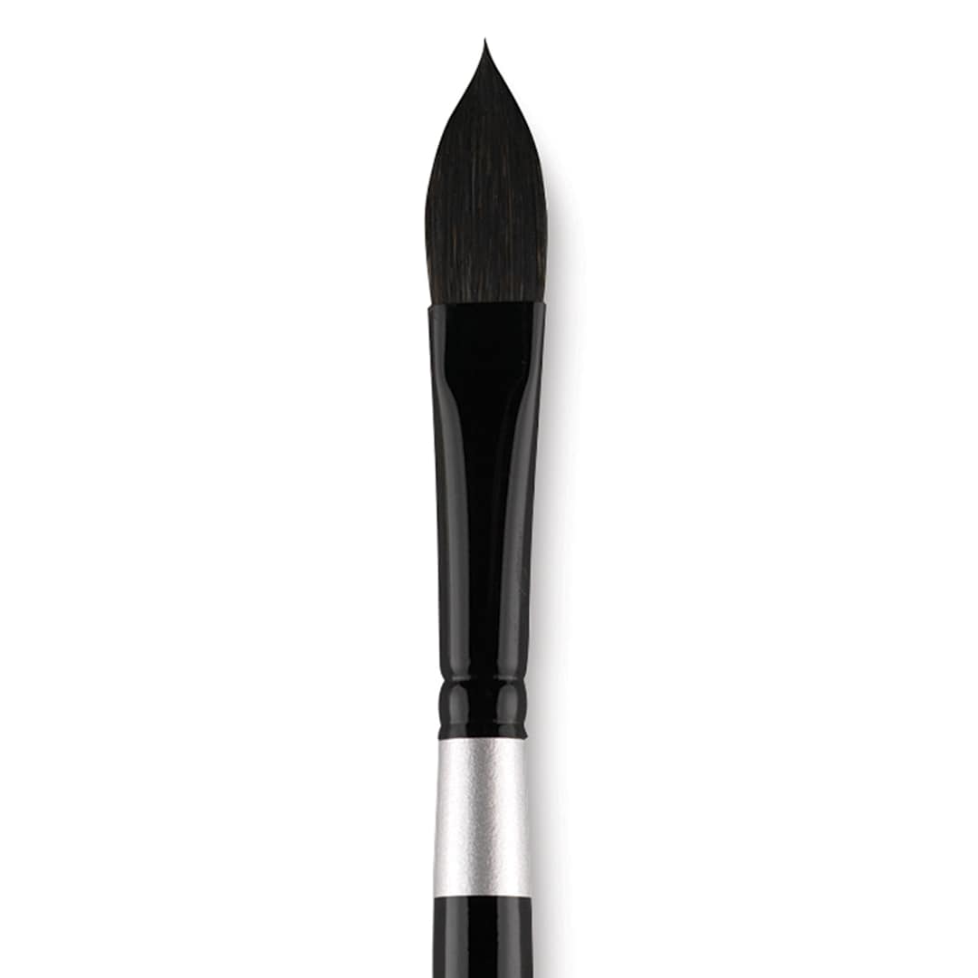 Open in modal - Silver Brush Black Velvet Brush - Oval Wash, Size 1/2" close up
