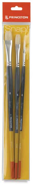 Open in modal - SNAP! Series 9700 Natural Bristle Brushes - Front of package of Set of 3 Brushes