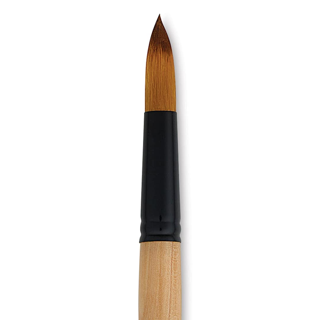 Open in modal - Dynasty Black Gold Brush - Jumbo Round, Short Handle, Size 30 close up