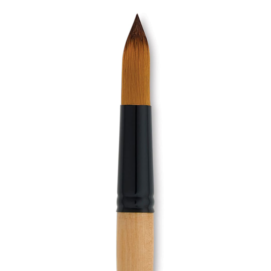 Open in modal - Dynasty Black Gold Brush - Jumbo Round, Short Handle, Size 36 close up