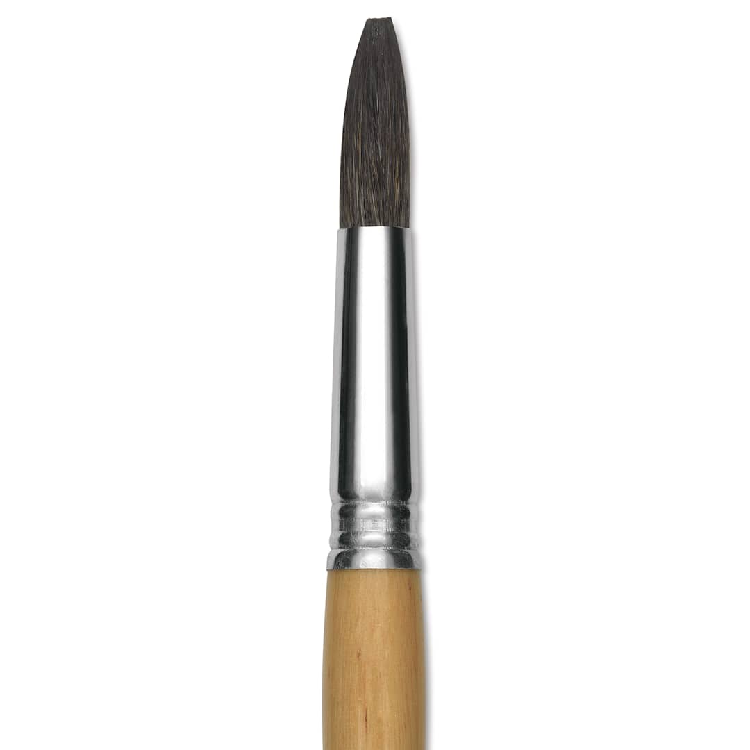 Open in modal - Escoda Squirrel Hair Ceramic Brush - Square Tip, Size 16 (Close-up of brush)