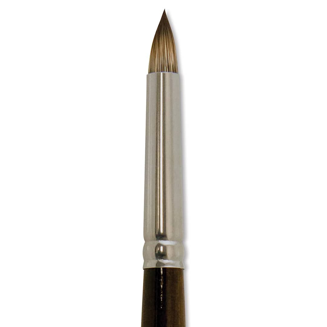 Open in modal - Silver Brush Monza Synthetic Mongoose Artist Brush - Short Round, Size 10 close up