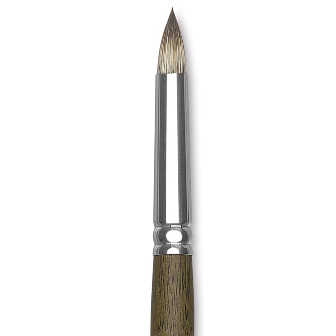 Open in modal - Silver Brush Monza Synthetic Mongoose Artist Brush - Short Round, Size 12 close up