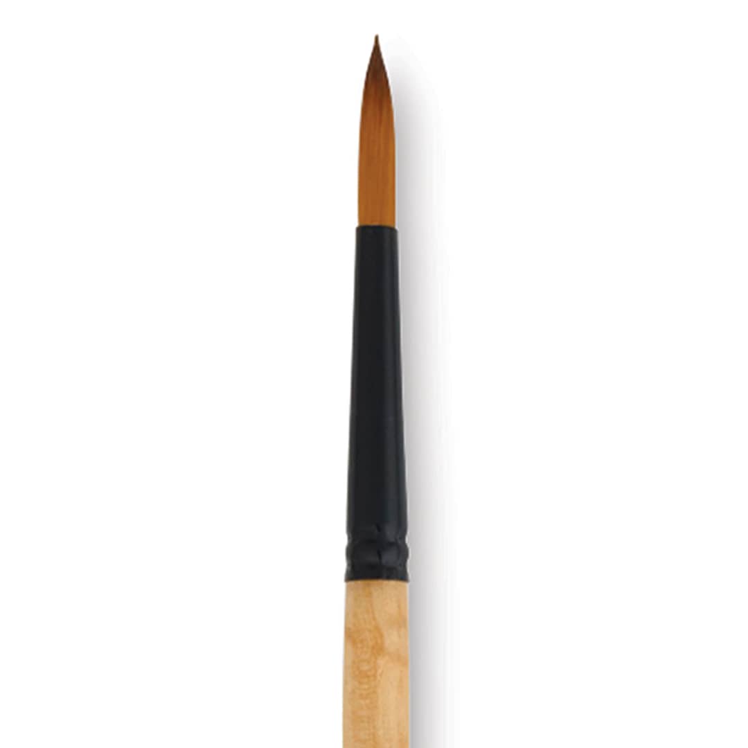 Open in modal - Dynasty Black Gold Brush - Fine Round, Long Handle, Size 14 close up