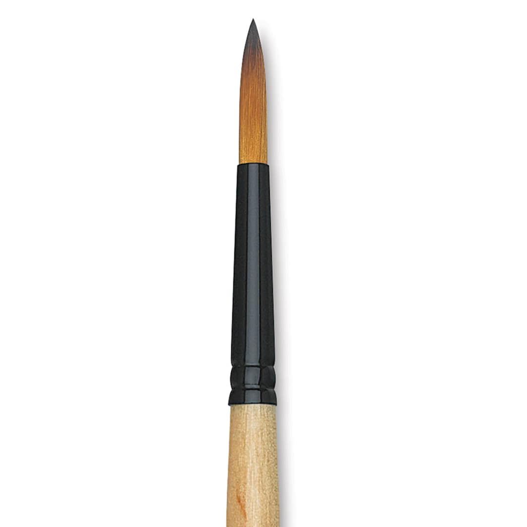 Open in modal - Dynasty Black Gold Brush - Fine Round, Long Handle, Size 16 close up