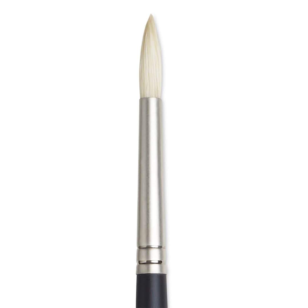 Open in modal - Winsor & Newton Artists' Oil Brush - Round, Long Handle, Size 4 close up