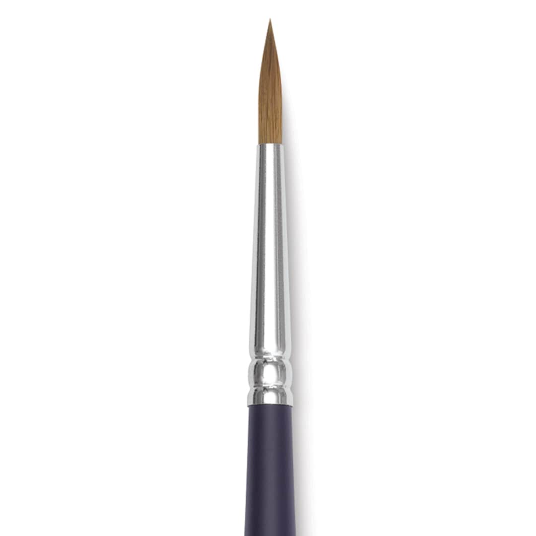 Open in modal - Winsor & Newton Artists' Kolinsky Sable Watercolor Brush - Round, Short Handle, Size 5 close up
