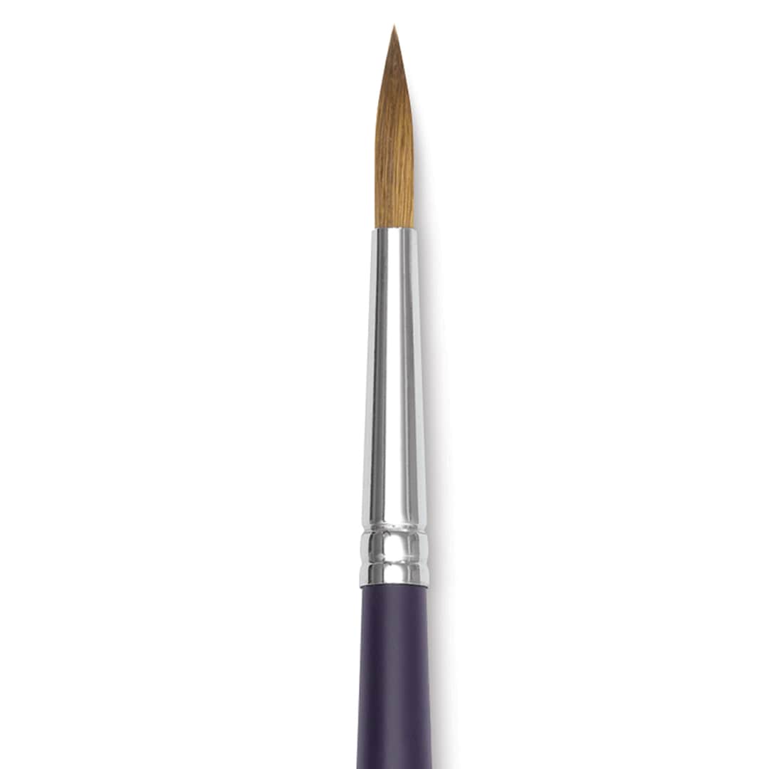 Open in modal - Winsor & Newton Artists' Kolinsky Sable Watercolor Brush - Round, Short Handle, Size 6 close up