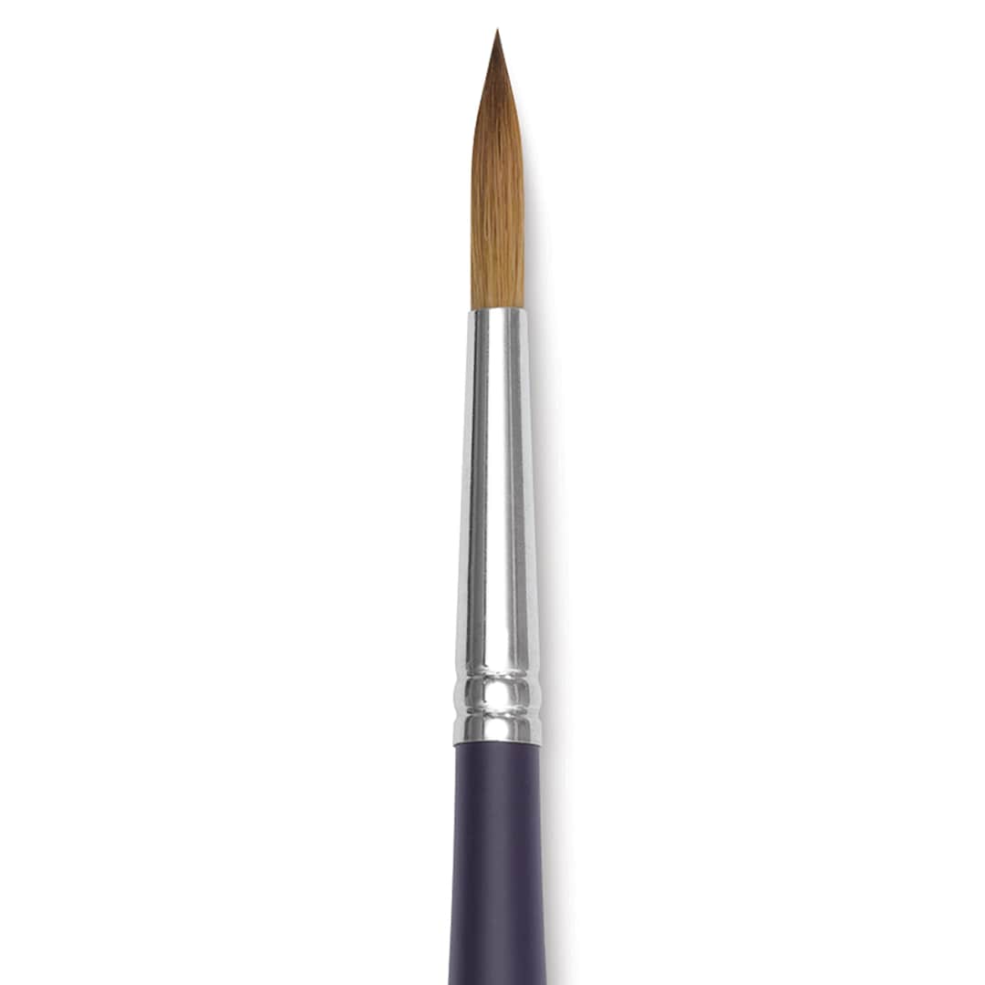 Open in modal - Winsor & Newton Artists' Kolinsky Sable Watercolor Brush - Round, Short Handle, Size 7 close up