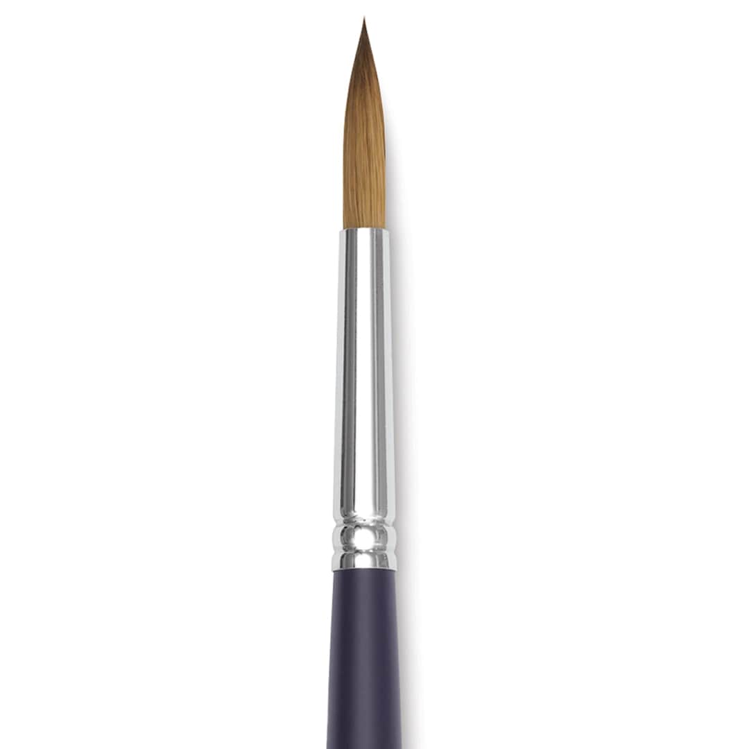 Open in modal - Winsor & Newton Artists' Kolinsky Sable Watercolor Brush - Round, Short Handle, Size 8 close up