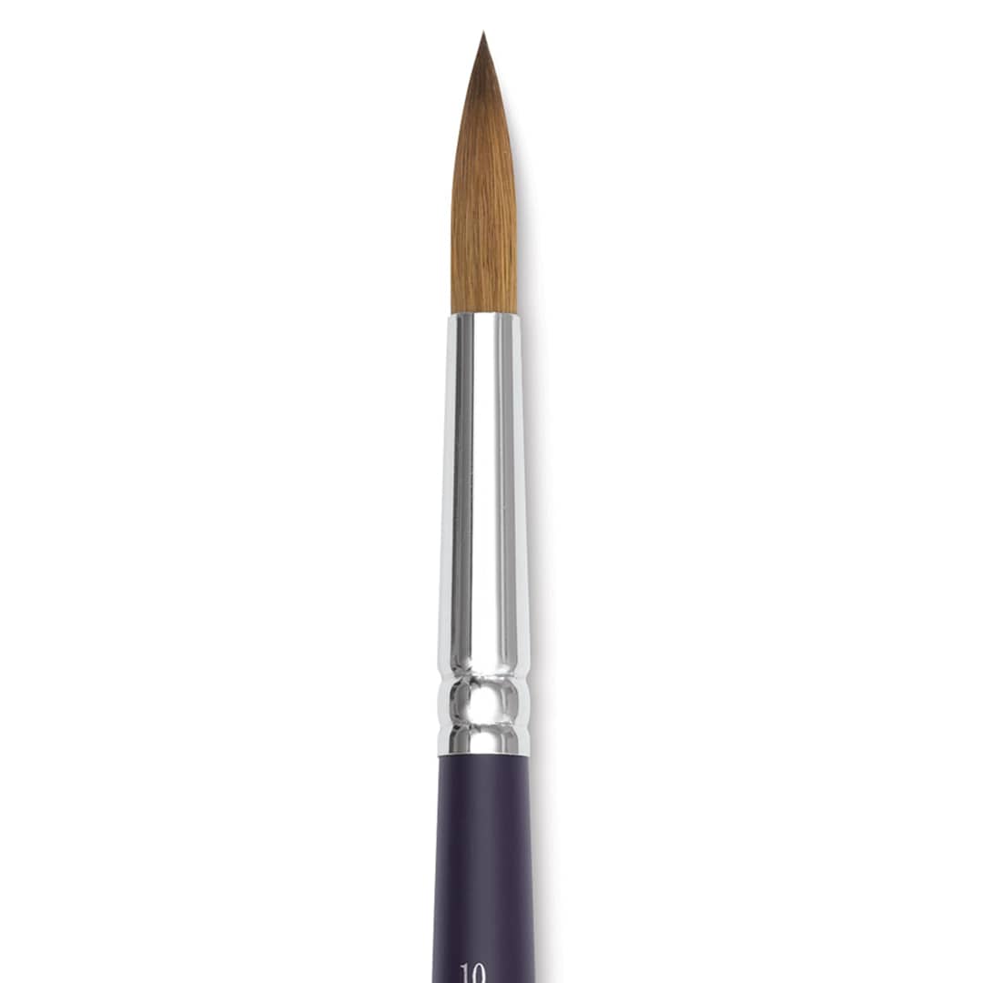 Open in modal - Winsor & Newton Artists' Kolinsky Sable Watercolor Brush - Round, Short Handle, Size 10 close up