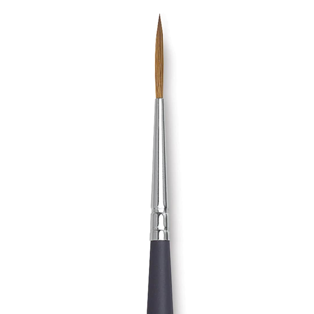 Open in modal - Winsor & Newton Artists' Kolinsky Sable Watercolor Brush - Rigger, Short Handle, Size 1 close up